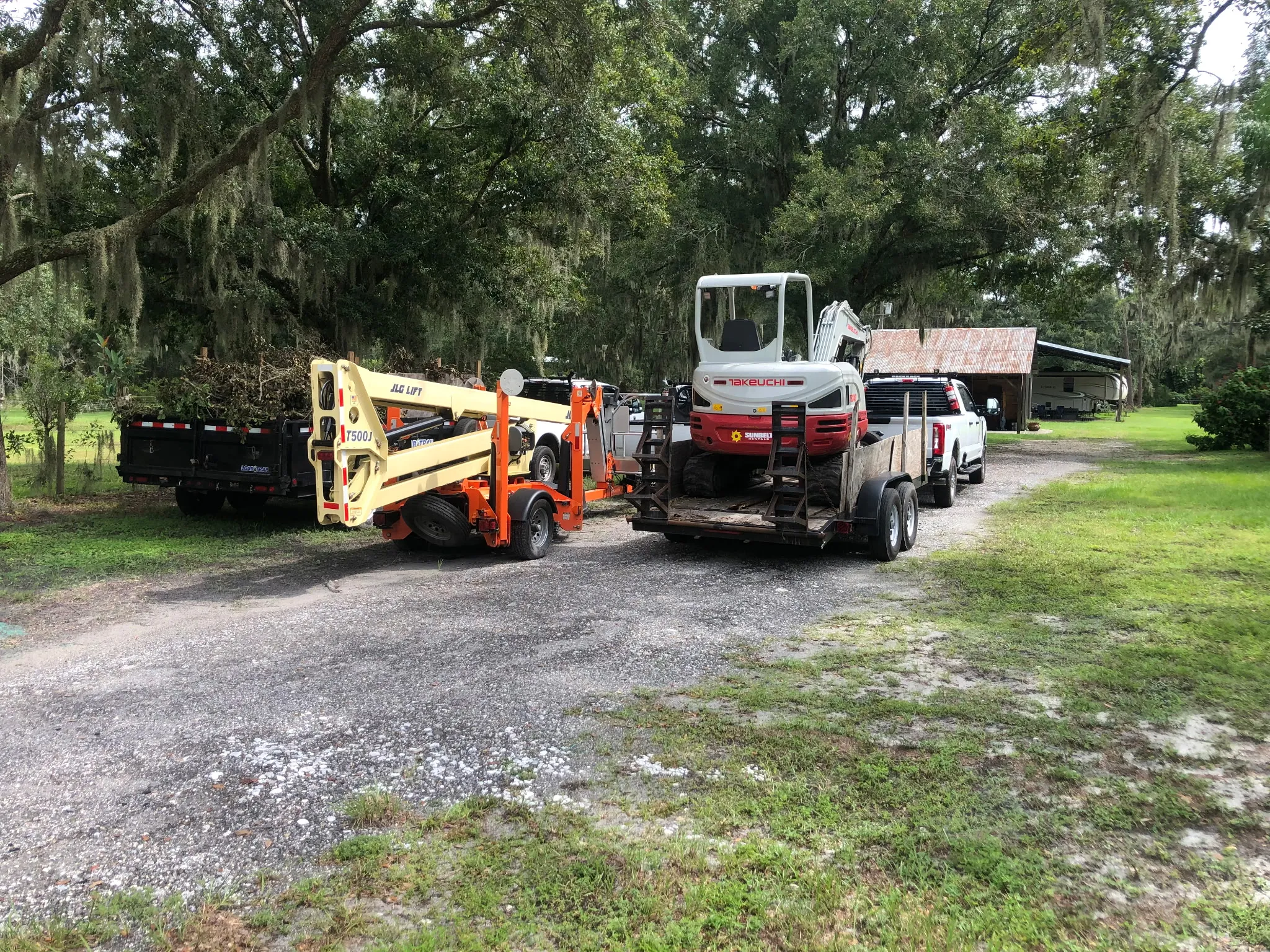 Professional tree removal service in Polk County - Three Pines Tree Removal expert team removing large oak tree
