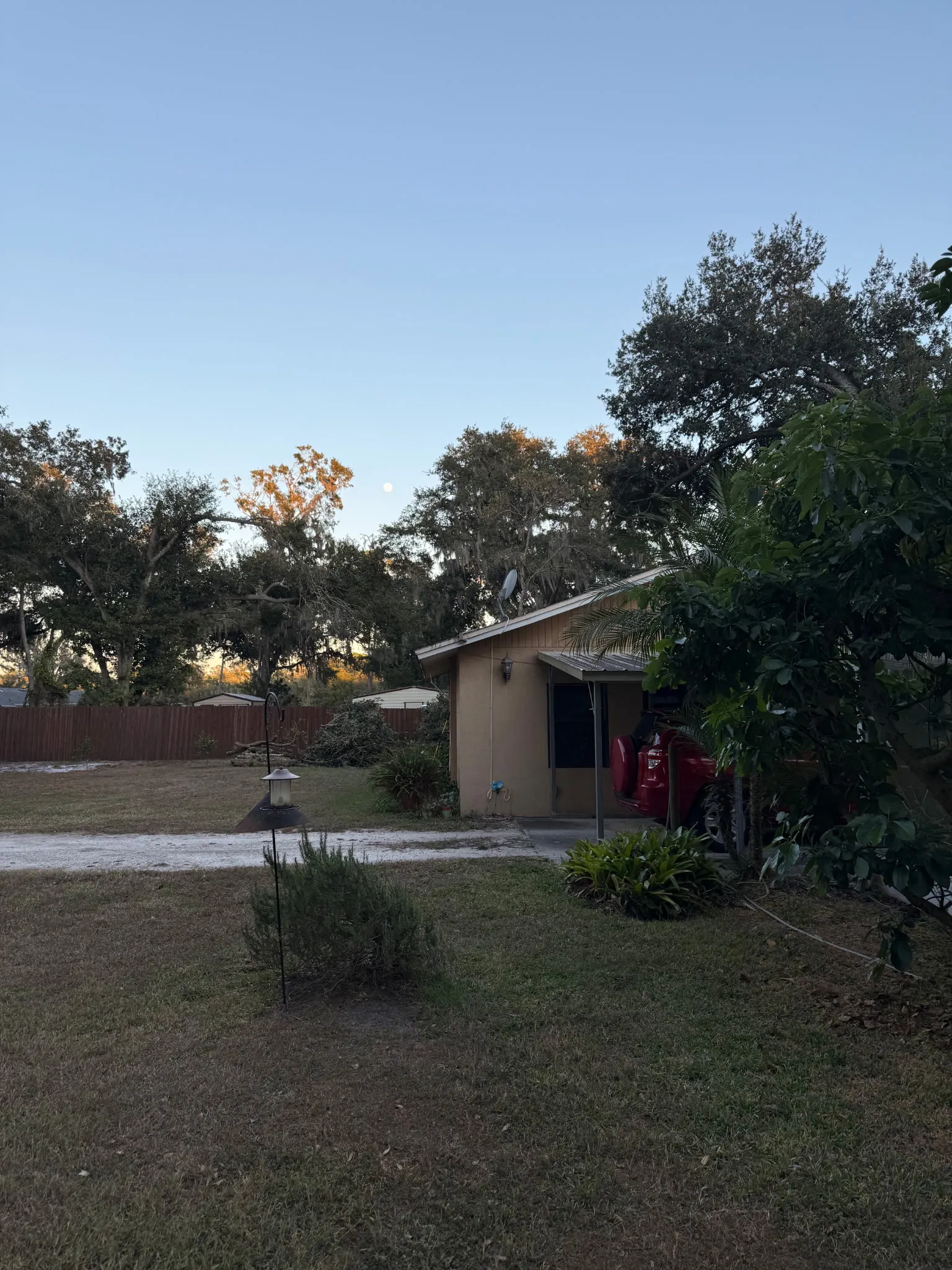 Residential Stump Grinding - Stump Grinding in Lakeland, FL by Three Pines Tree Removal