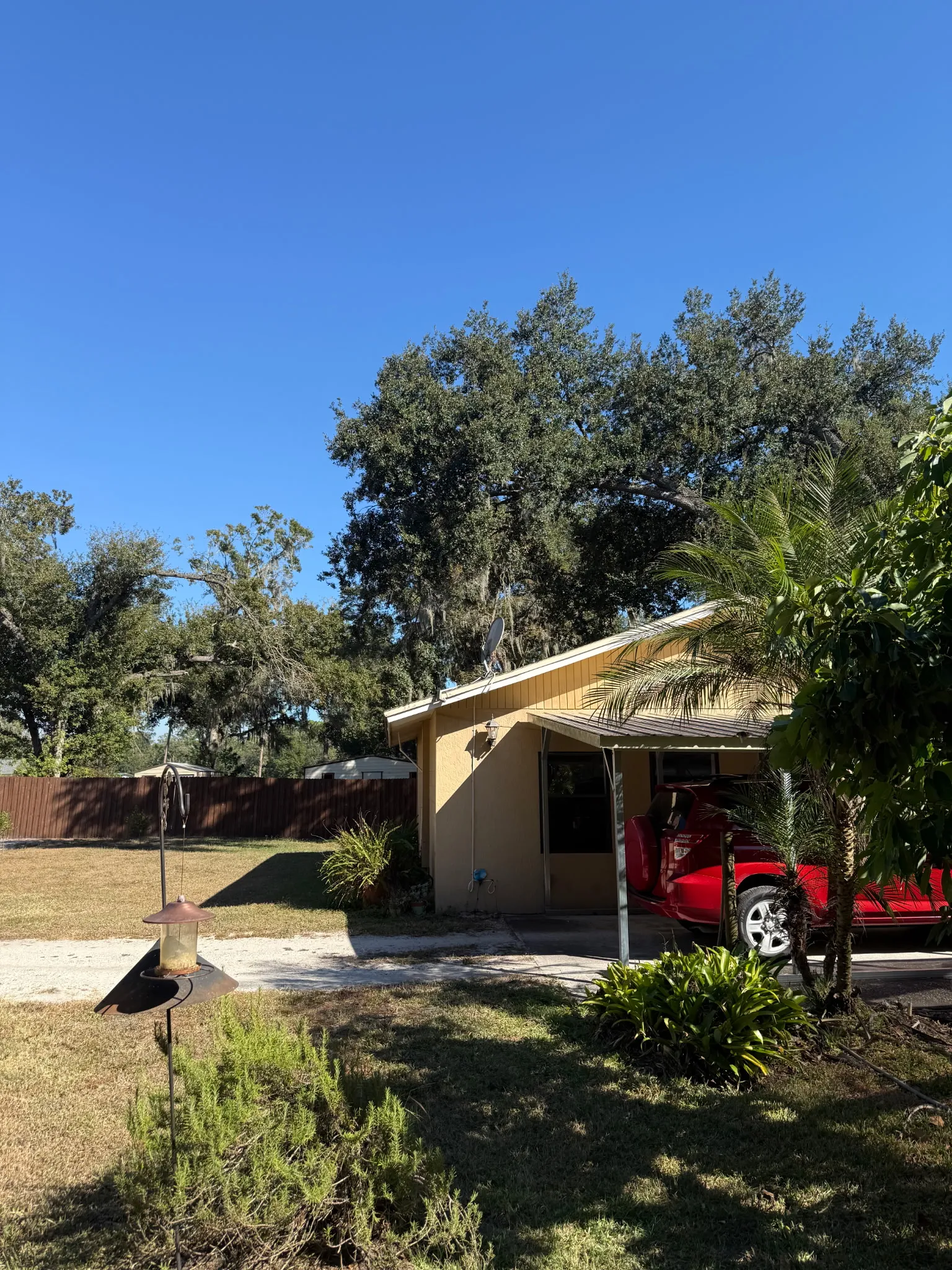 Tree Trimming & Lifting - Cleaning and Lifting completed in Lakeland, FL by Three Pines Tree Removal professionals